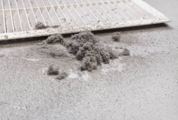Best HVAC System Cleaning  in Carthage, NC